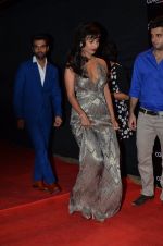 Patralekha at Sansui Stardust Awards red carpet in Mumbai on 14th Dec 2014